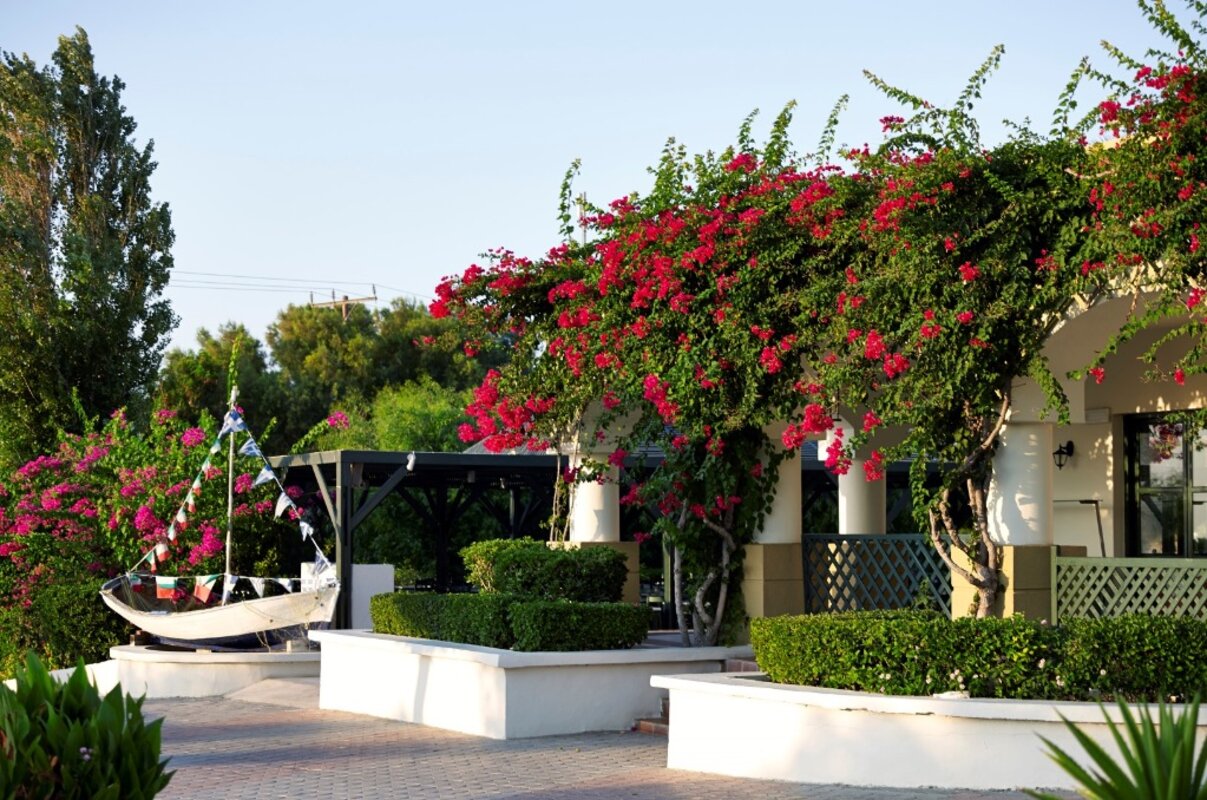 Grčija - rodos - kiotari