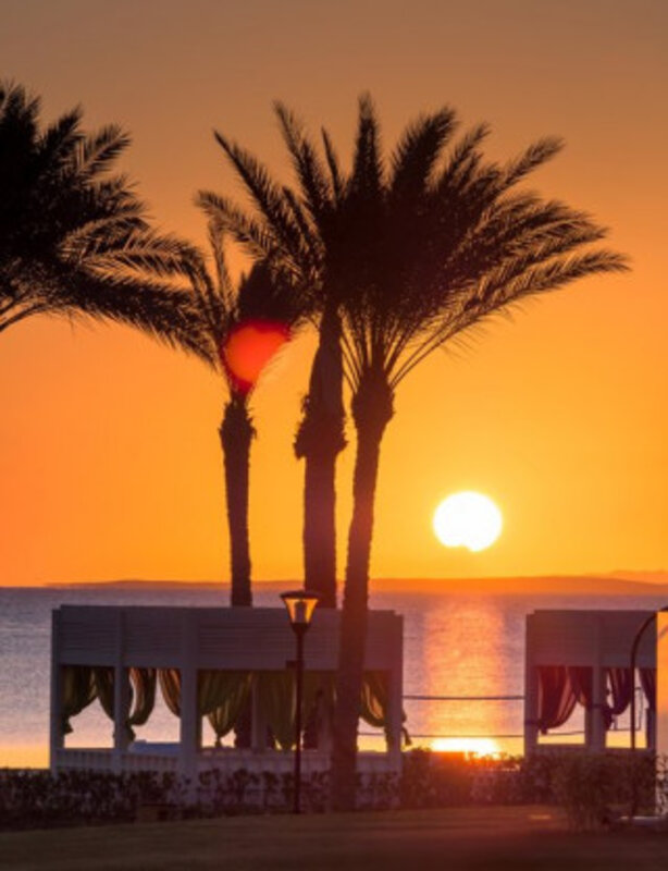 Egipt - Sinajski polotok - Sharm El Sheikh