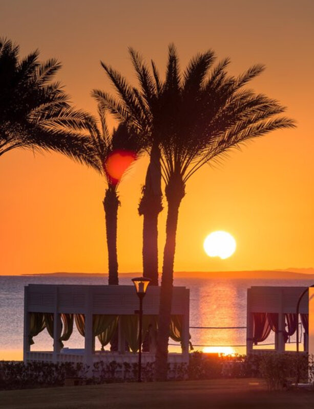Egipt - Sinajski polotok - Sharm El Sheikh