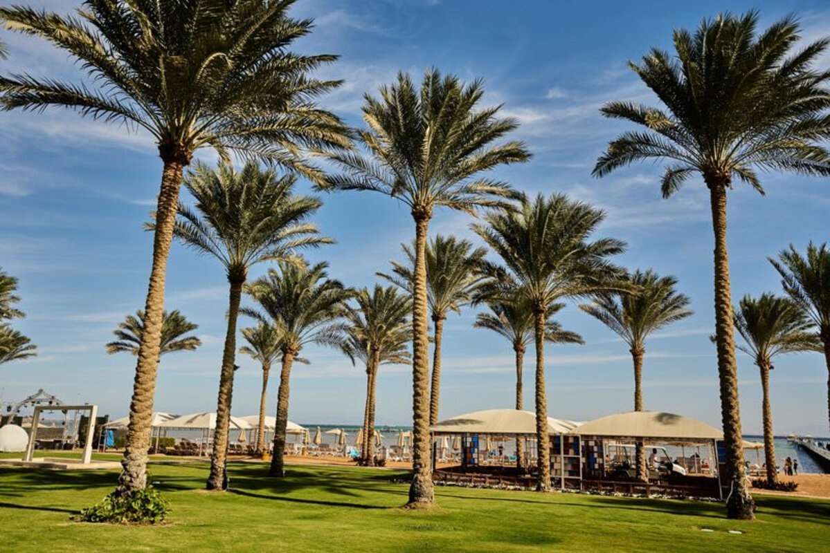 Egipt - Sinajski polotok - Sharm El Sheikh