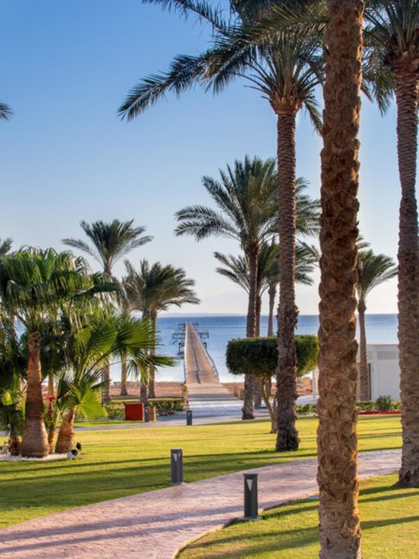 Egipt - Sinajski polotok - Sharm El Sheikh
