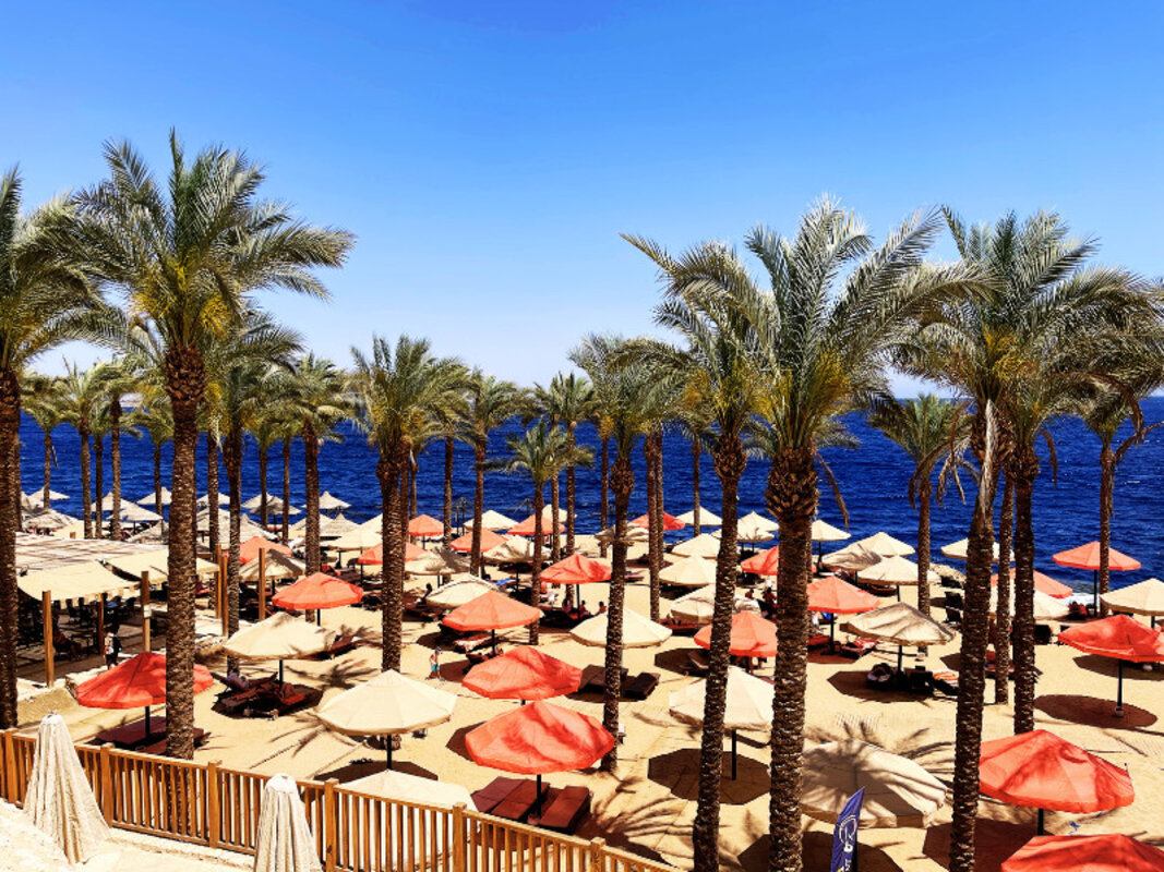 Egipt - Sinajski polotok - Sharm El Sheikh