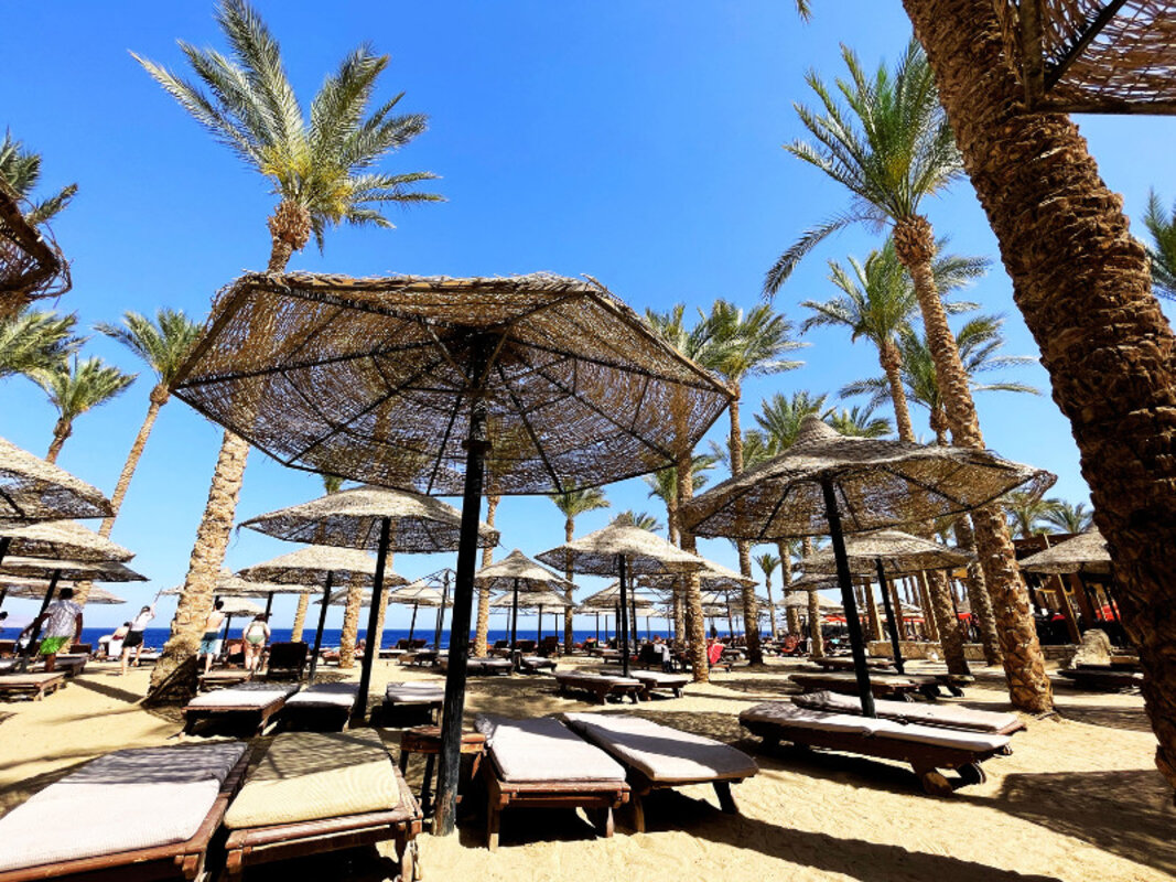 Egipt - Sinajski polotok - Sharm El Sheikh