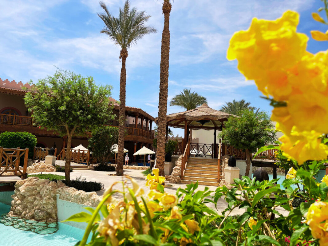 Egipt - Sinajski polotok - Sharm El Sheikh