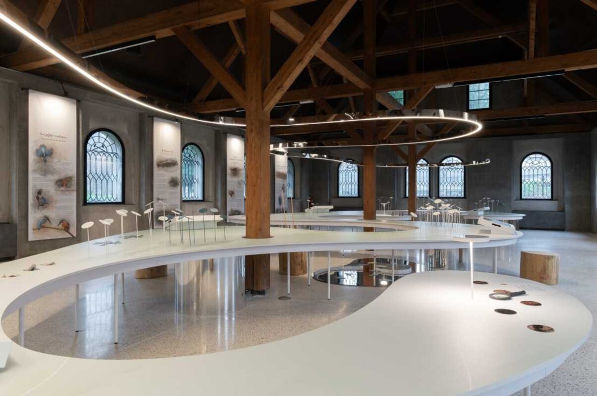 Suha krajina in Dolenjska