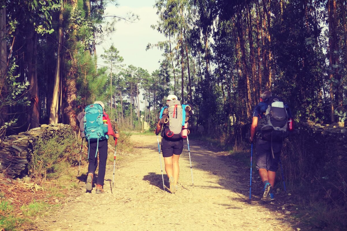 Camino de Santiago - portugalska pot