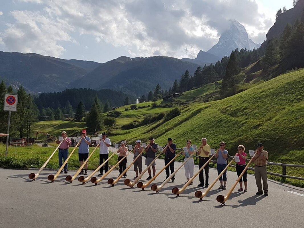 Švicarske alpe in ledeniški vlak