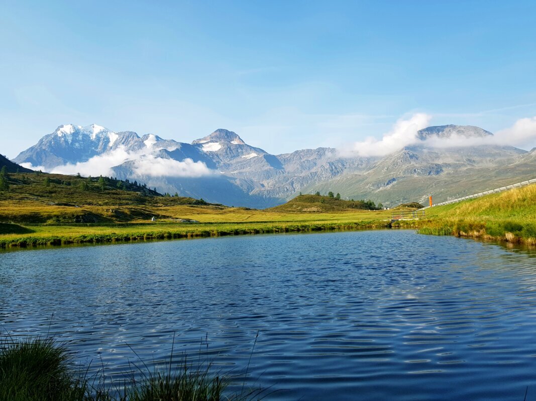 Švicarske alpe in ledeniški vlak