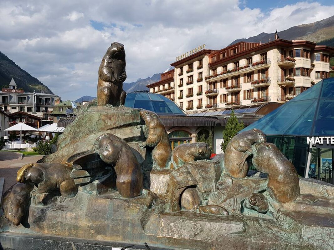 Švicarske alpe in ledeniški vlak