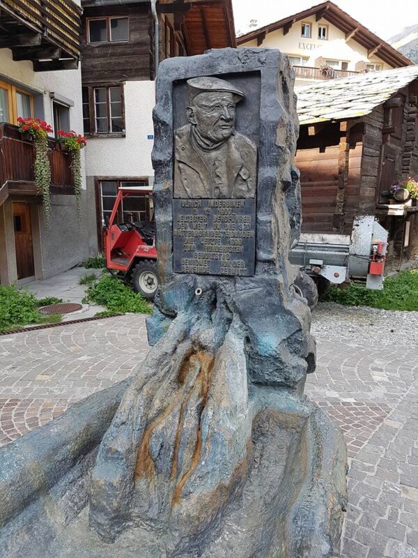 Švicarske alpe in ledeniški vlak