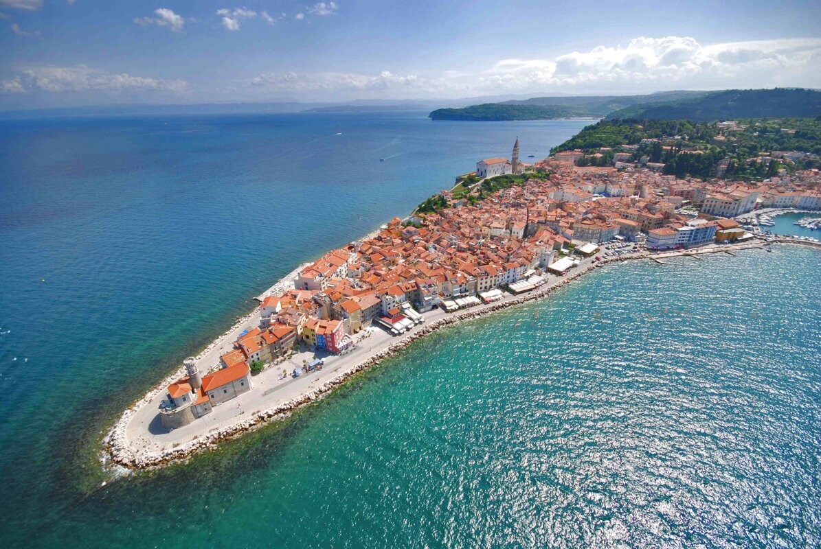 Praznik kakijev v Strunjanu
