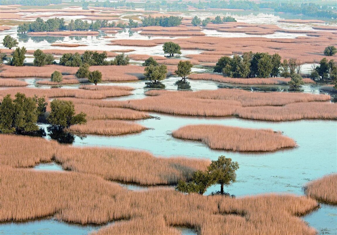 Kopački Rit in Slavonija