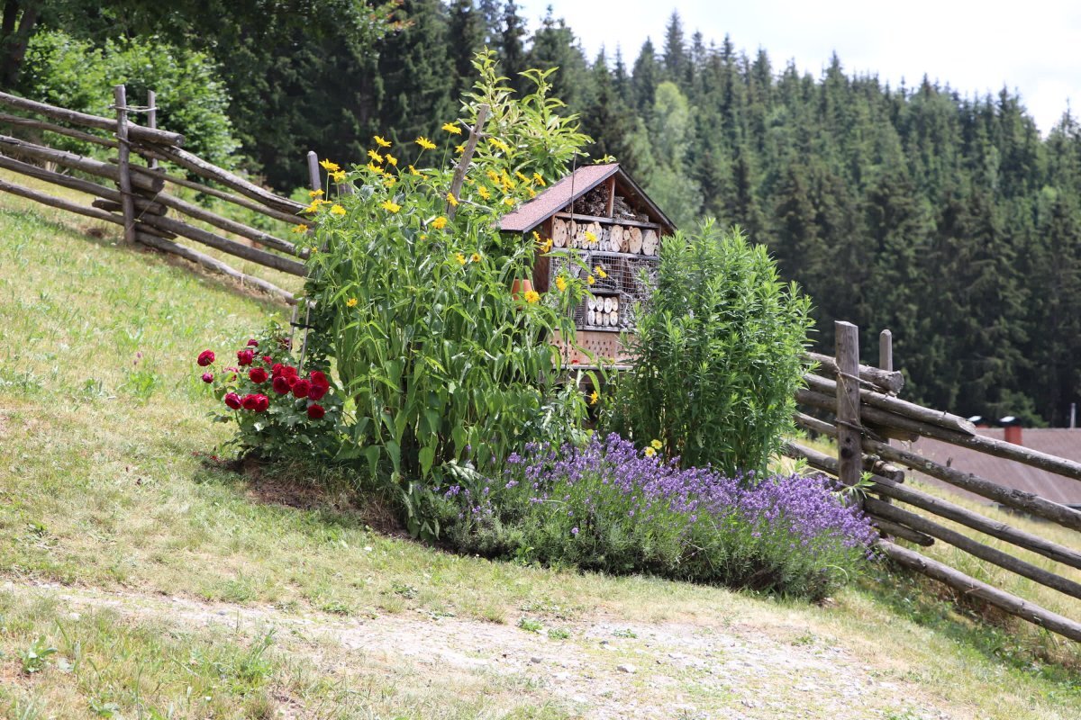 Zeliščarski festival Irschen