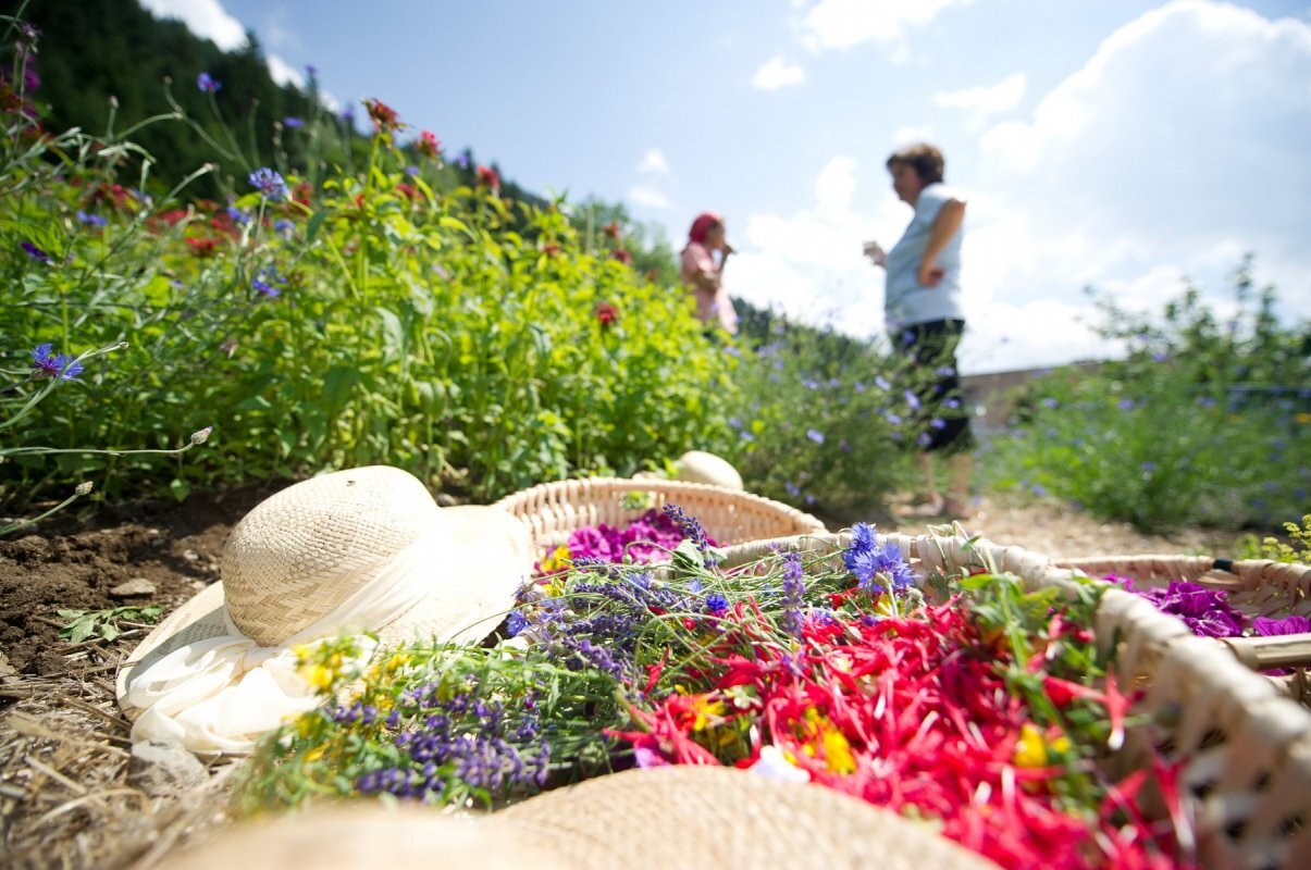 Zeliščarski festival Irschen