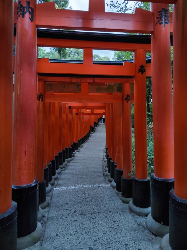 Japonska - z javnim prevozom