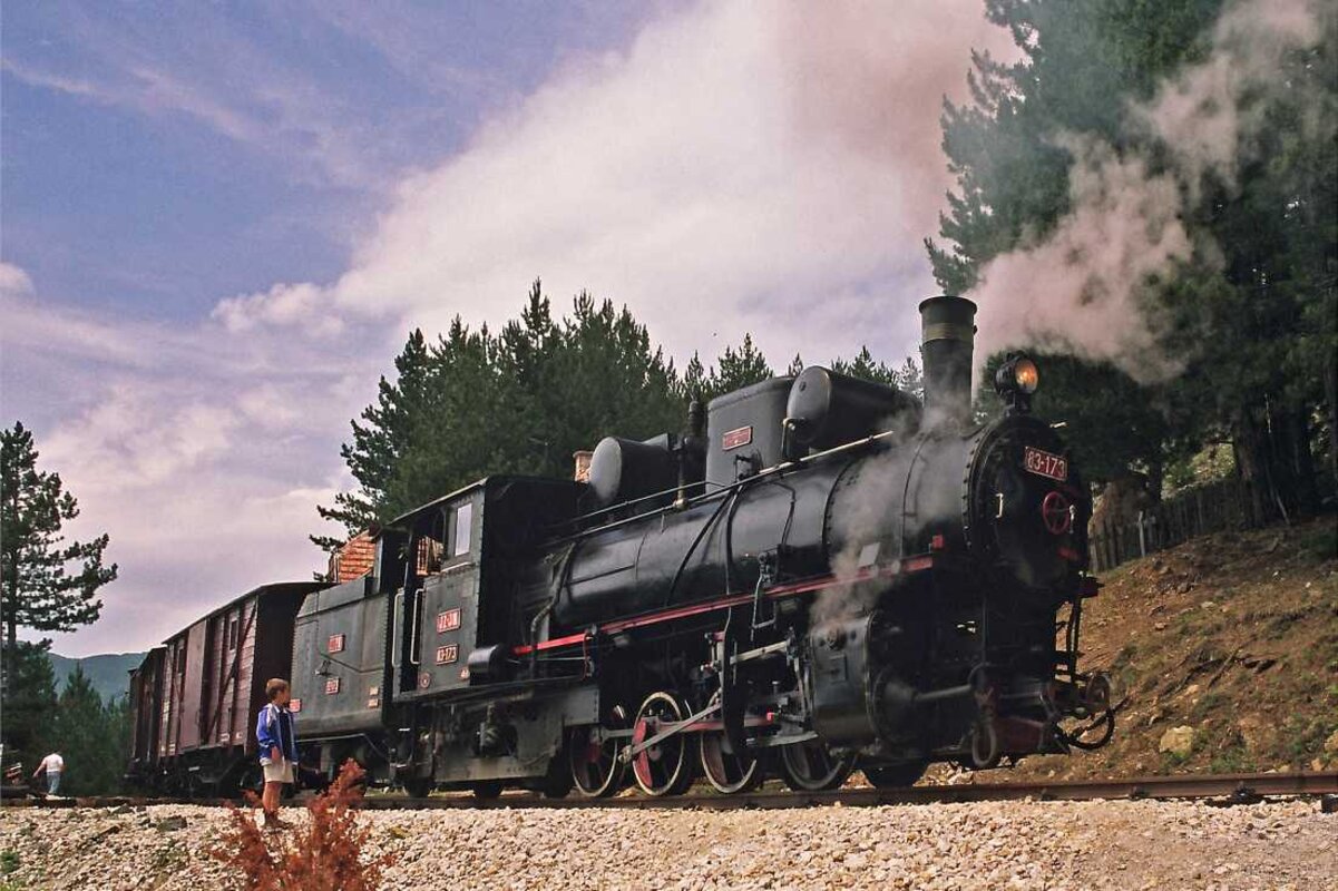 Križarjenje po Drini  (NP Tara – vožnja z vlakom po Šarganski osmici)