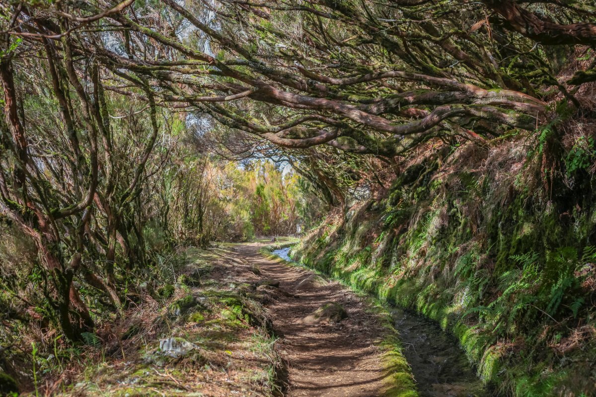 Otok Madeira