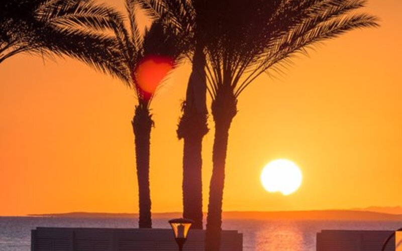 Egipt - Sinajski polotok - Sharm El Sheikh