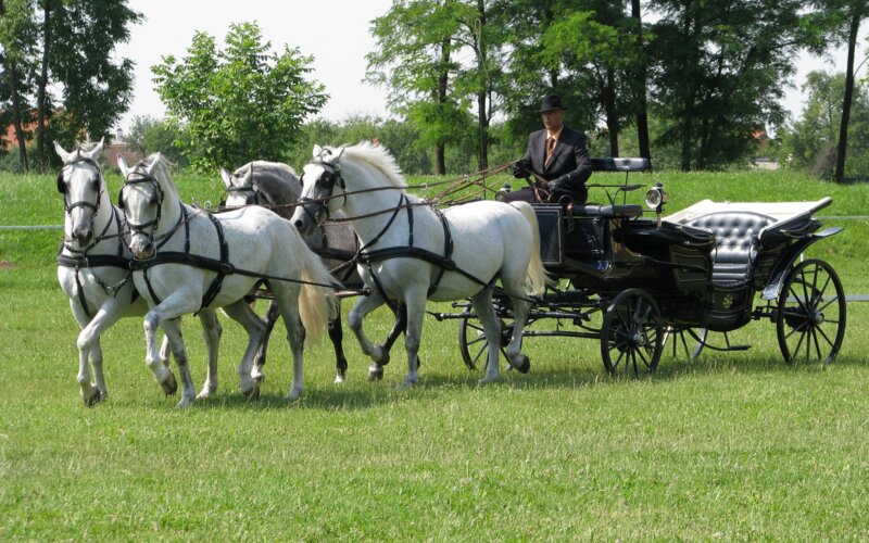Kopački Rit in Slavonija