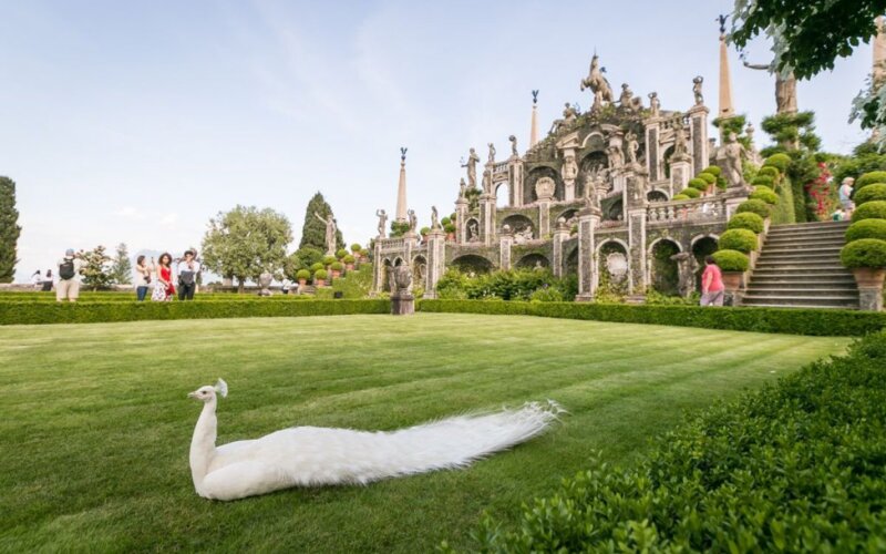 Boromejski otoki - jezero Maggiore
