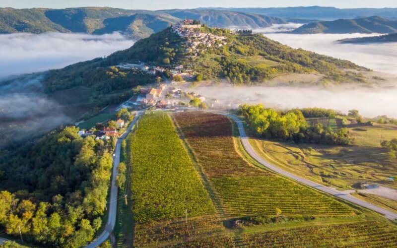 Dnevi tartufov v Istri